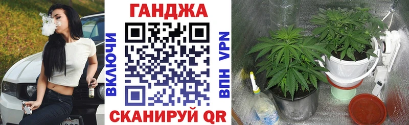 Купить наркоту Зерноград КОКАИН  А ПВП  ОМГ ОМГ ССЫЛКА  МЕФ  Бошки Шишки 