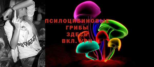МДПВ Абинск