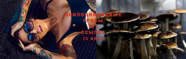 мет Сатка